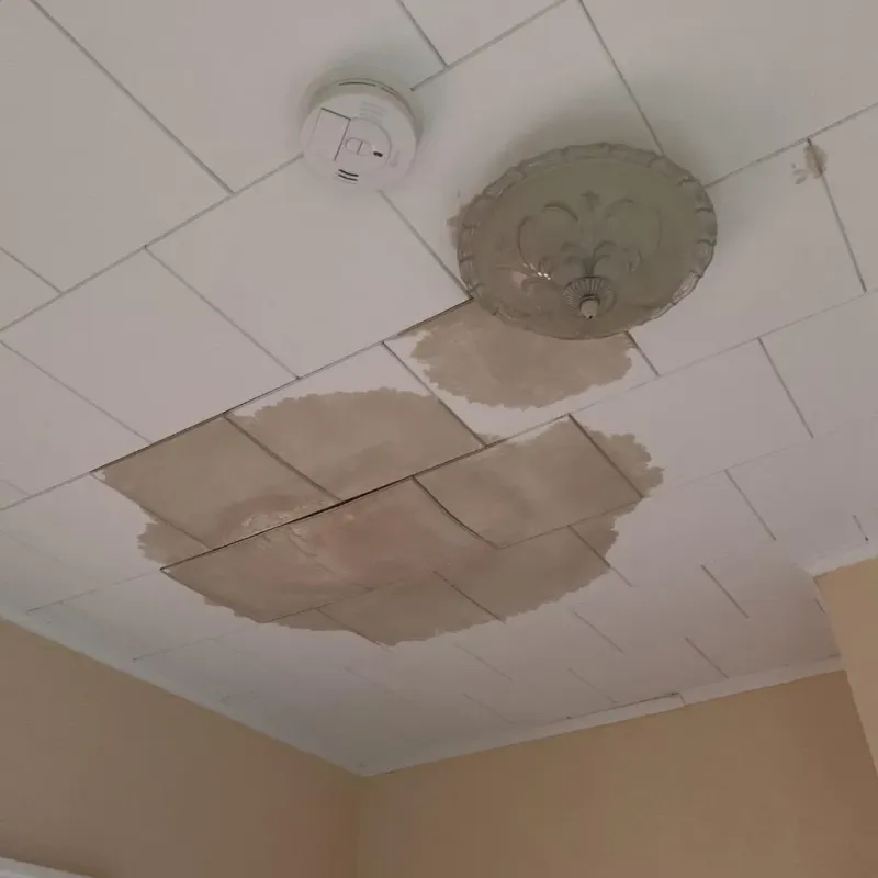 Ceiling Water Damage Repair in Trail Creek, IN