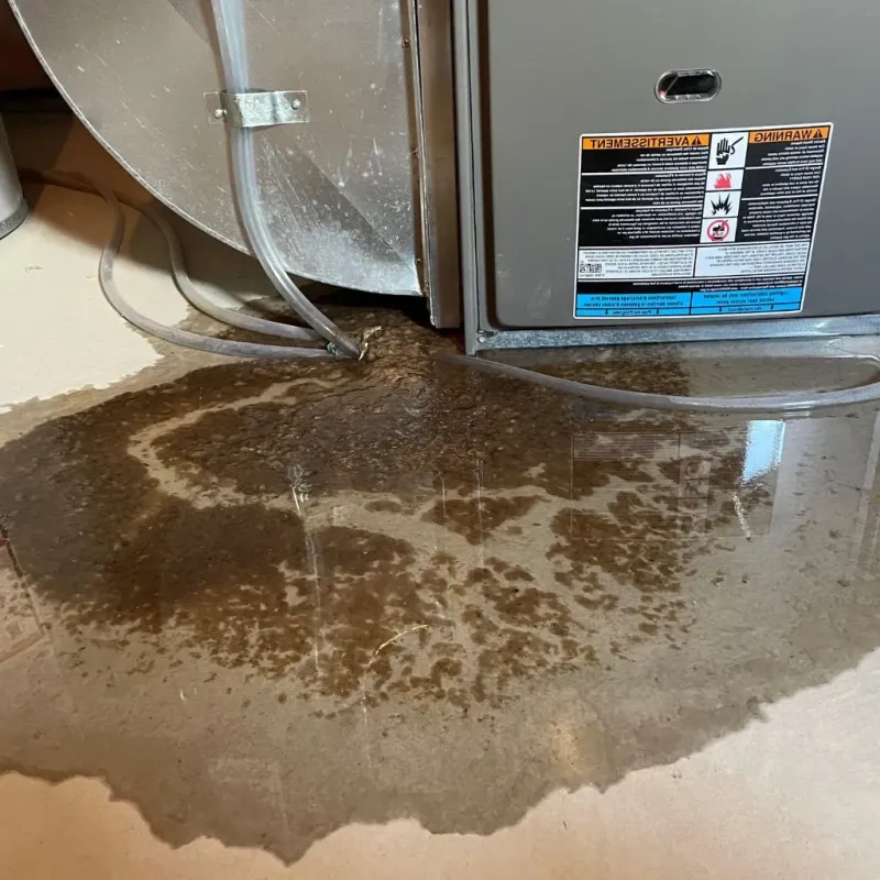 Pipe Burst and Leak Restoration in Trail Creek, IN