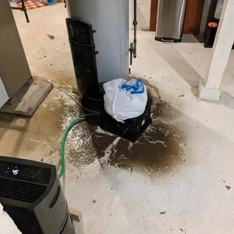 Sewage Backup Cleanup Service in Trail Creek, IN